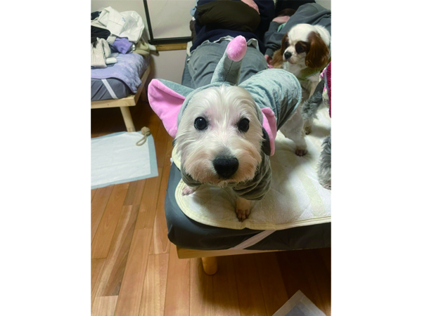 卒業生と卒業犬で卒業旅行♪